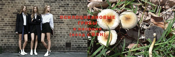 Альфа ПВП Касимов