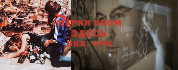 крисы Каменка
