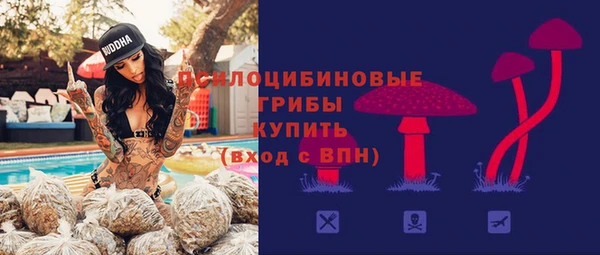 MDMA Карпинск